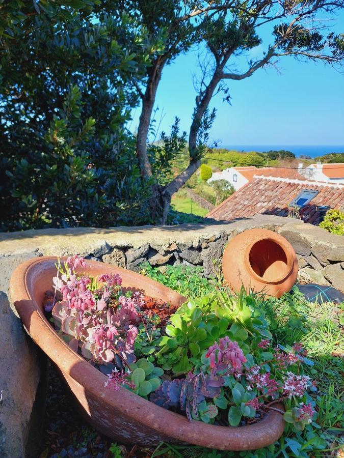 Biscoitos  Casas Do Tareco 빌라 외부 사진